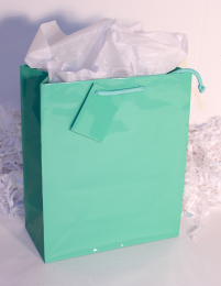 mint green gift bags