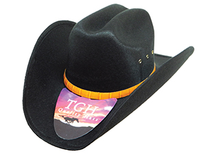 Taco Felt Cowboy Hat