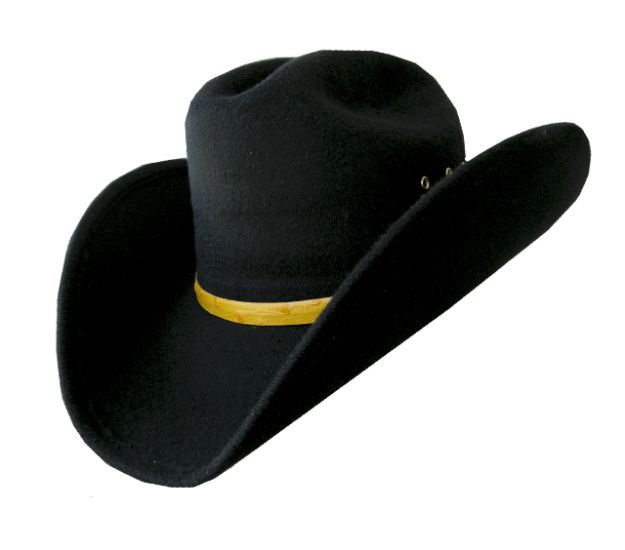 Taco Felt Cowboy Hat