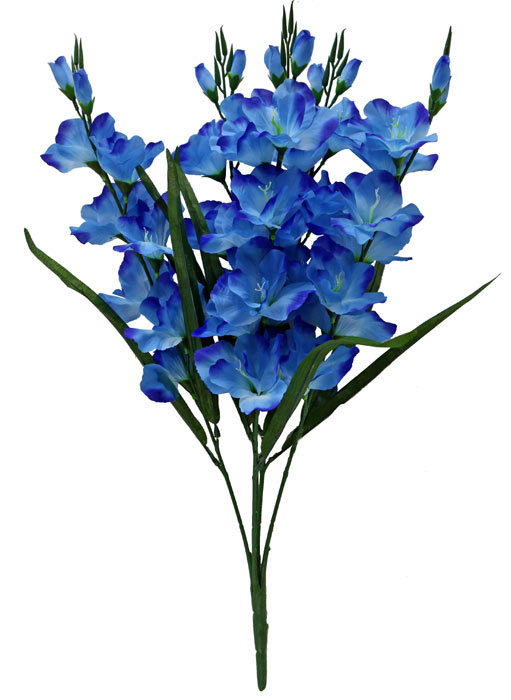 Blue Gladiolus Bush 5 Bloom