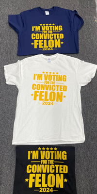 I'm Voting for a Felon