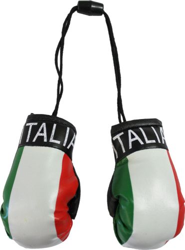 ITALIA FLAG HANGING BOXING GLOVES