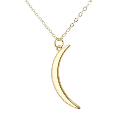 Delicate horn necklace celestial