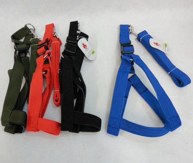 48'' Cushioned Leash & Harness Set-Extra Large