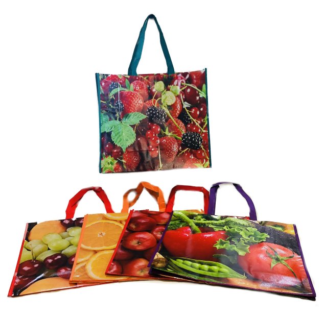 Large Printed Shopping BAG with Handles 18''x15.5''x7''