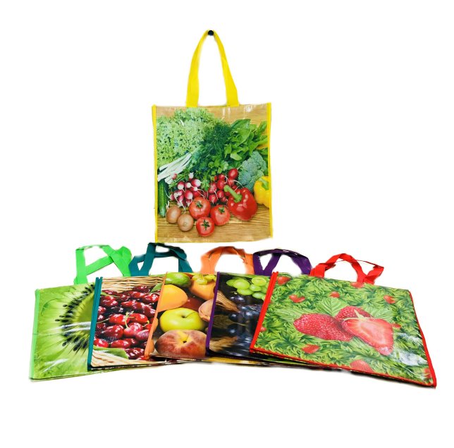 Medium Printed Shopping BAG with Handles 13.5''x15''x5''