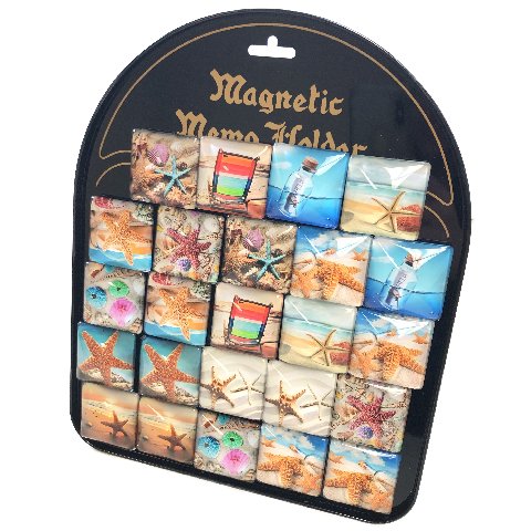 1.5''x1.5'' Square GLASS Magnet [Seashells] with Display Board