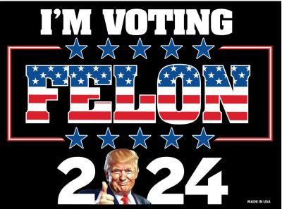 Trump Magnet I'm VotINg for the Felon 2024