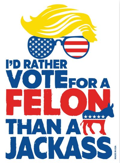 Trump Magnet - I'd Rather Vote For A Felon