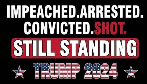 * 3 X 5' FLAG - Trump  Impeached, Arrested, Convicted