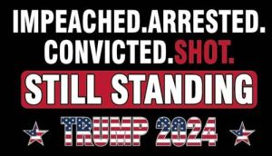 ** Trump 3.5 X 5'' STICKER Impeached, Arrested, Convicted