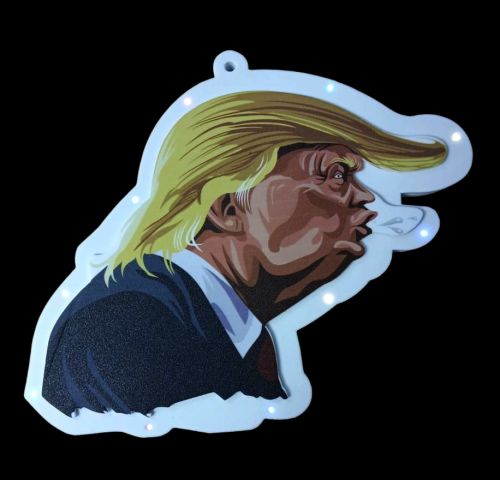 *Trump Novelty LED Foam SIGN 7 x 6 Hair