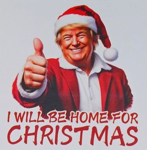 *Magnet - Trump I'll Be Home For CHRISTMAS