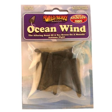 Packaged Ocean Wind Back-flow Cones