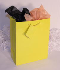 GIFT BAG EURO - YELLOW - LARGE - 13''x10''x5.5''