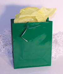 GIFT BAG EURO - FESTIVE GREEN - LARGE - 13''x10''x5.5''