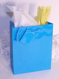 GIFT BAG EURO - TURQUOISE - MEDIUM - 10''x8''x4''