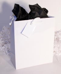 GIFT BAG EURO - WHITE - JUMBO - 21'' x 17'' x 7''