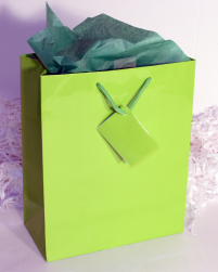 GIFT BAG EURO - BRIGHT GREEN - MEDIUM - 10 ''x 8 ''x 4''