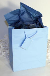 GIFT BAG EURO - LT.BLUE - MEDIUM - 10''x8''x4''