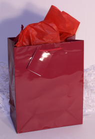 GIFT BAG EURO - CRANBERRY - MEDIUM - 10''x8''x4''