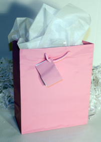 GIFT BAG EURO - LT. PINK - MEDIUM - 10''X8''X4''