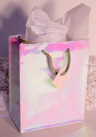 GIFT BAG - OPALESCENT - SMALL - 6'x4''x2''