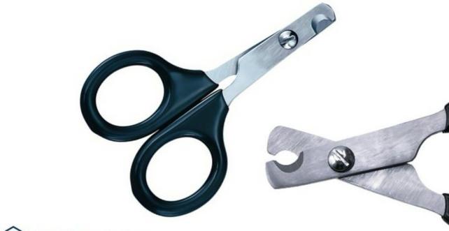 Cat Nail SCISSOR, Veterinary Instruments