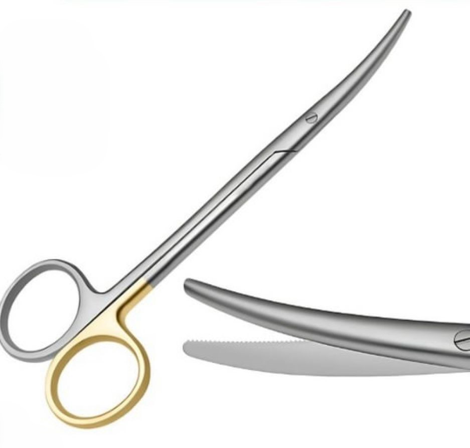 Tonsil SCISSOR 16cm, Dental and Surgical Instruments