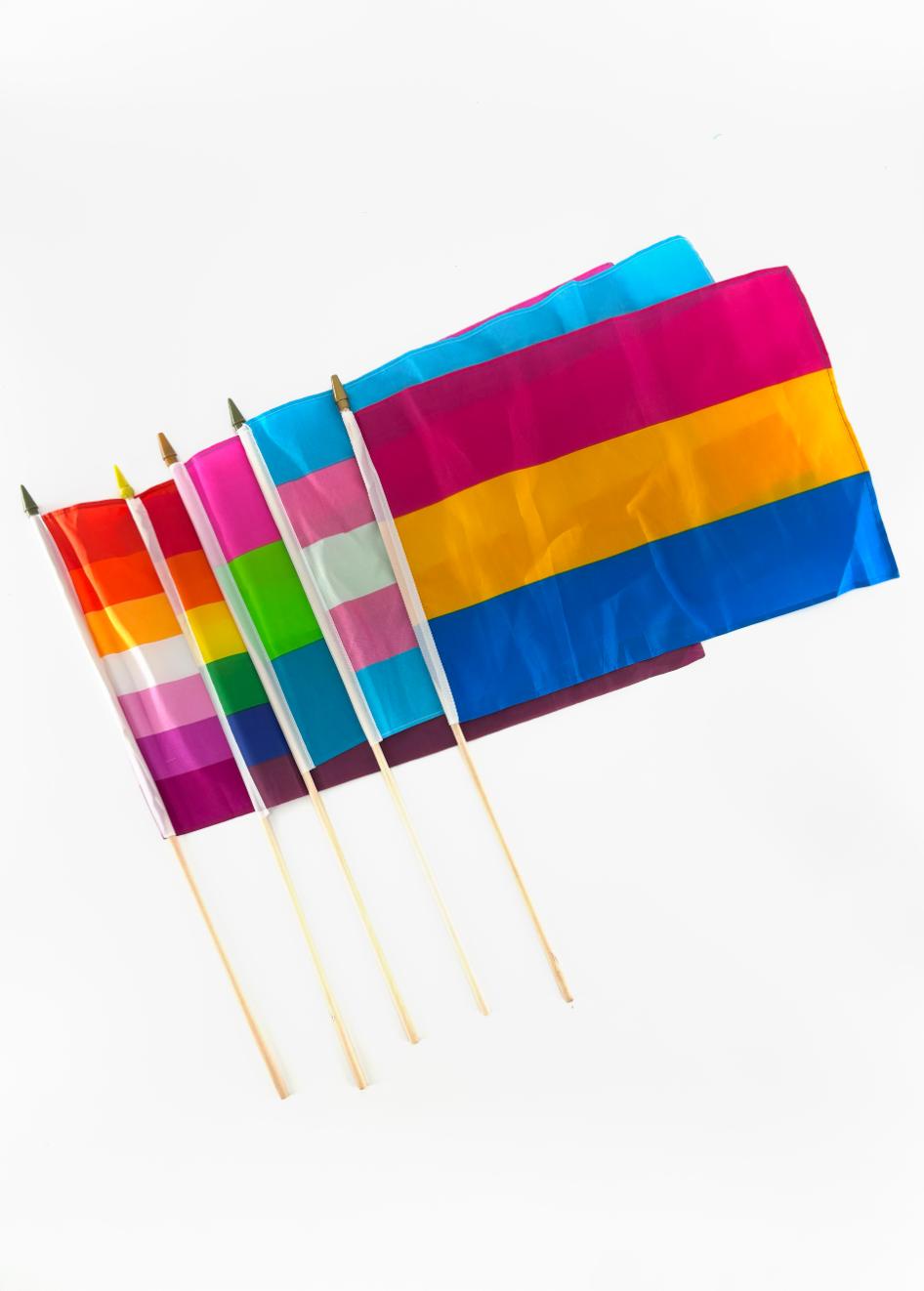 Pride FLAGS Dozen