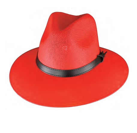 HAT, Explorer RED
