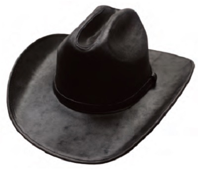 Cowboy Crown Leather HAT