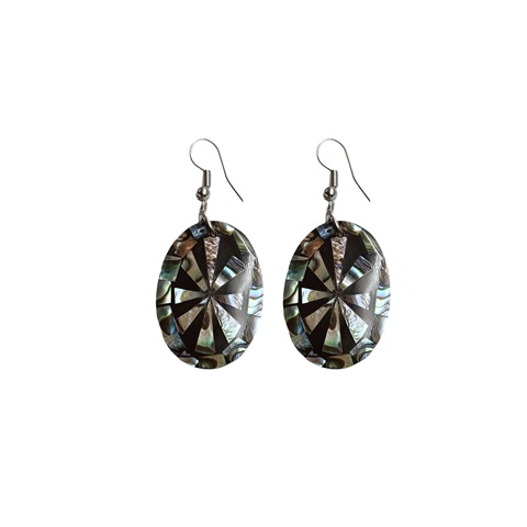 Abalone Shell EARRINGS