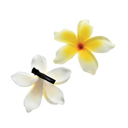 Plumeria Fimo Flower HAIR CLIP