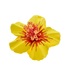 Hibiscus FLOWER Hair Pin/ Clips