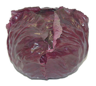 Purple Cabbage