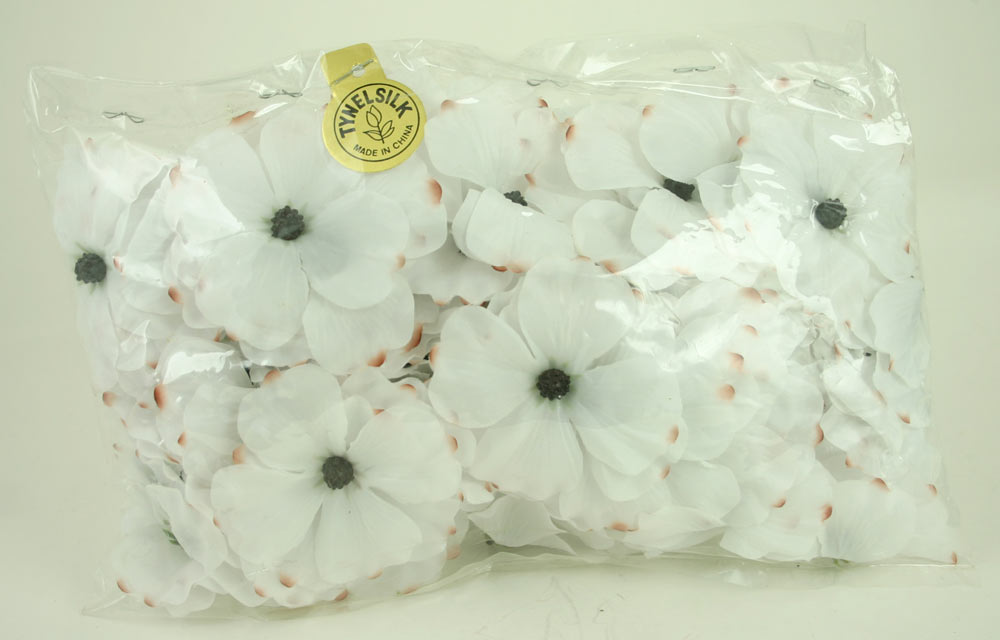 White Dogwood Blooms - Pack of 100