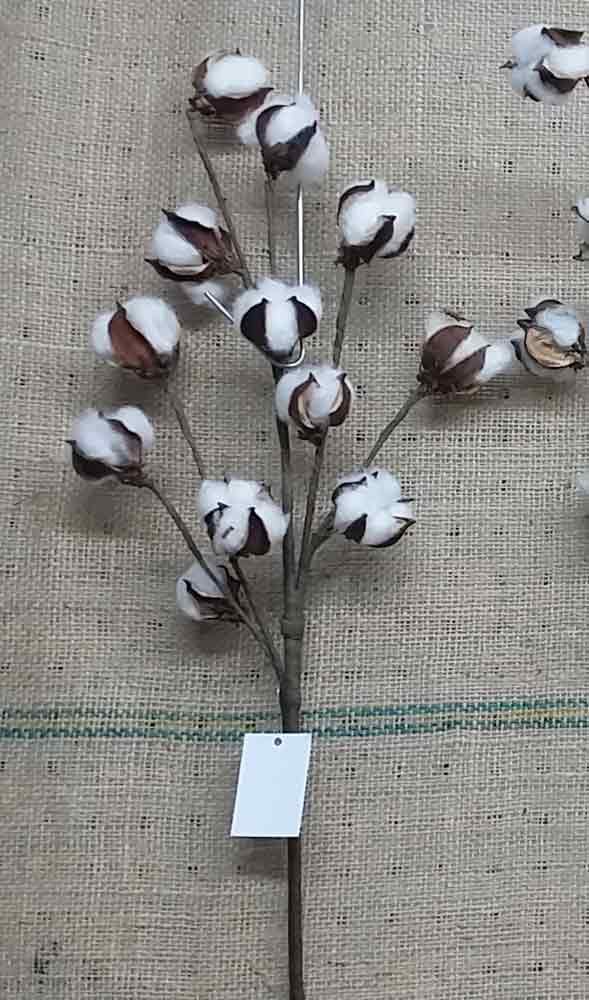 Floral Cotton Wired Stem