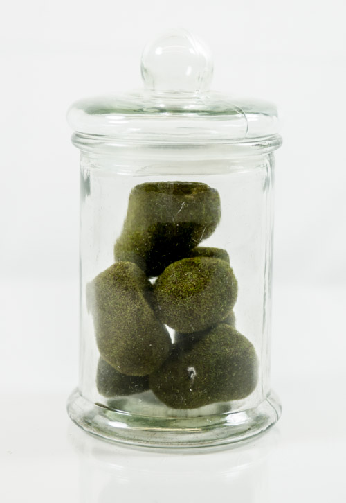 Covered Glass Jar with Mossy Stones