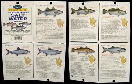 The Freshwater Angler Pocket Guide-East Coast Salt Water FISHING