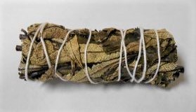 Black Sage 4'' Smudge STICK